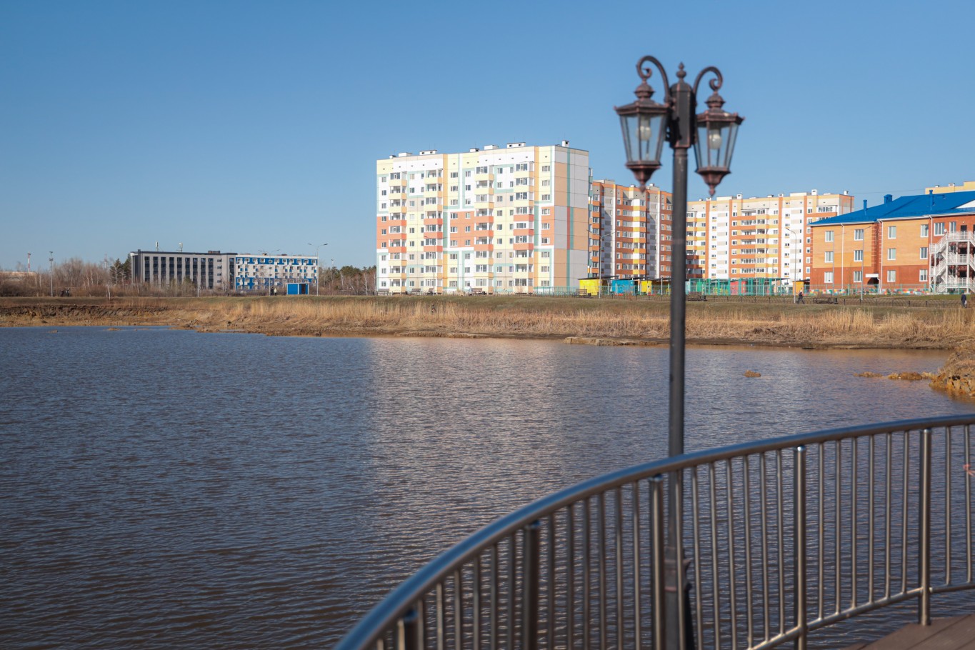 На озере «Тарелочка» в Костанае планируют поселить двух лебедей